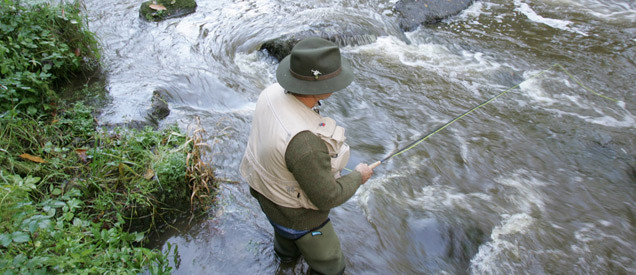 Pêche dans les cours d’eau du nord de la Mayenne 