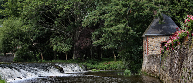 Rivière l’Ernée au cœur de la forêt de la Mayenne