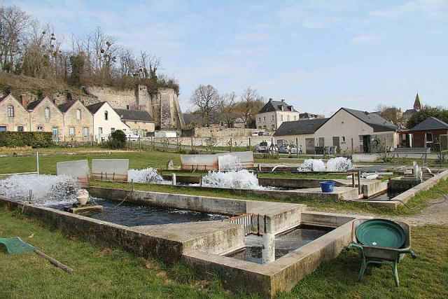 Bassins du site de la pisciculture de l’Ouette